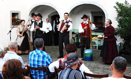 Cerkljanski gavnarji